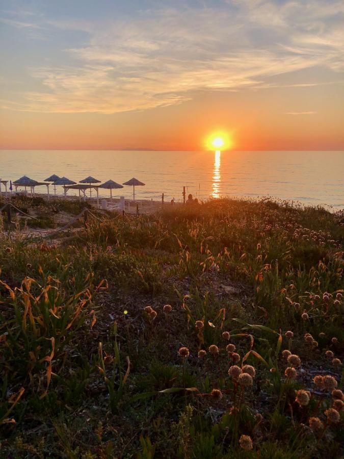 Vila Casa The Nest - Il Nido Sul Mare Badesi Exteriér fotografie